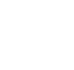 Black Forest Labs Logo