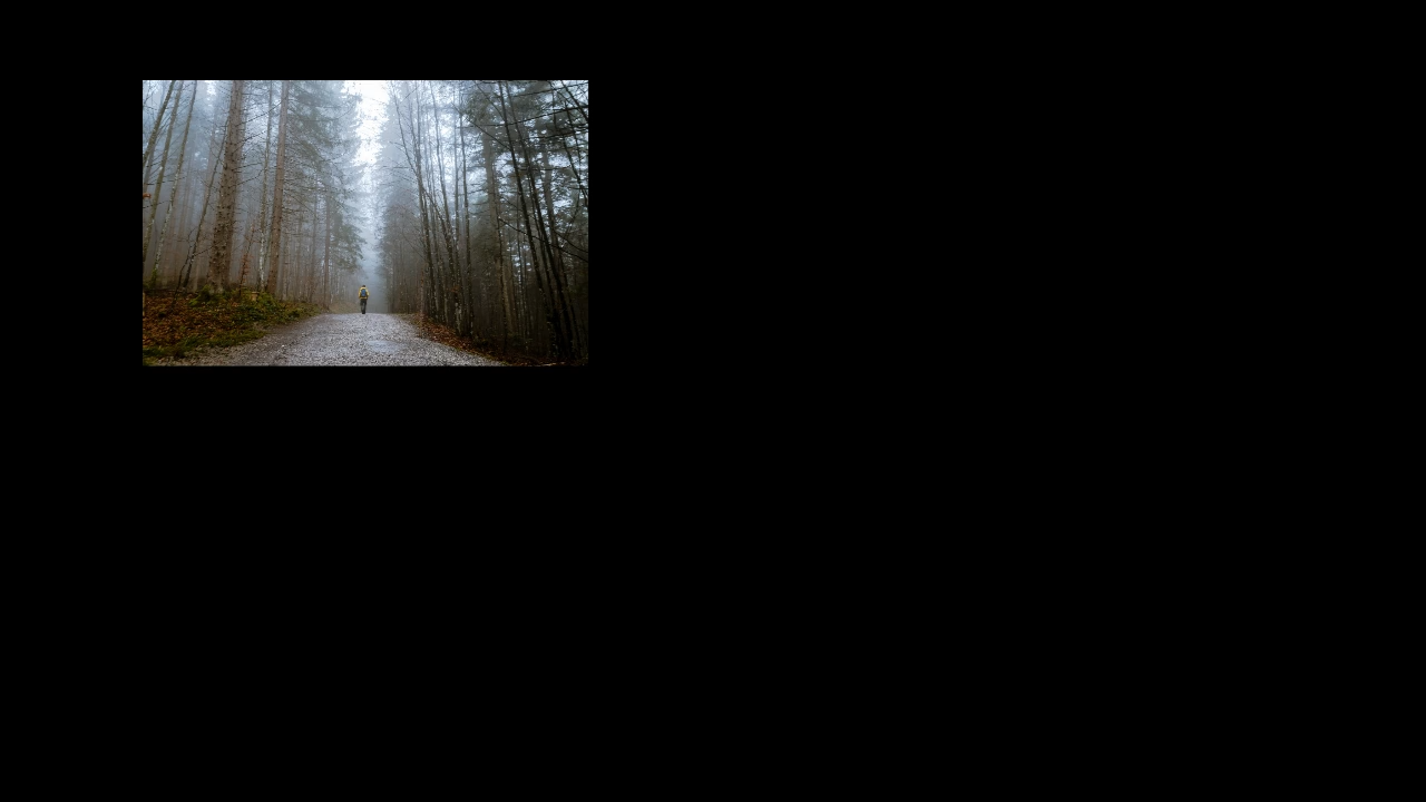 Forest image in 500x500 clip with fit contain, positioned top-left with offset and scaled to 80%